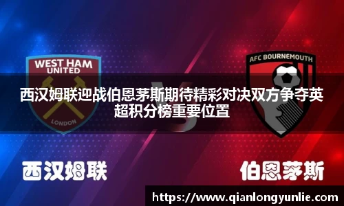 彩神VI首页官网